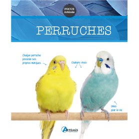 Perruches