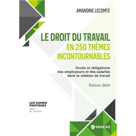 Le droit du travail en 250 thèmes incontournables