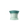 Correcteur facial Payot Pâte Grise