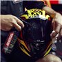 Nettoyant pour visière de casque Motul