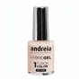 vernis à ongles Andreia Hybrid Fusion H10 (10