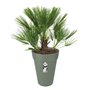 ELHO Loft Urban Pot de fleurs rond Haut 35 - Vert - Ø 34 x H 45 cm - extérieur - 100% recyclé