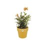 Pot de fleur B.for Original Rond 30 ocre