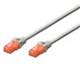 Ewent IM1031 câble de réseau Gris 10 m Cat6 U/UTP (UTP)