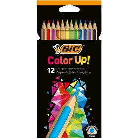 Crayons de couleur Bic 950527 Multicouleur