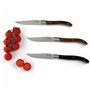 Couteau à viande Quid Professional Narbona Métal Bicolore (22 cm) (Pack 12x)