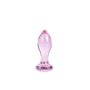 Plug Anal S Pleasures Rose