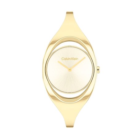 Montre Femme Calvin Klein 25200422