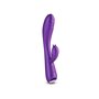 Vibrateur G-Spot NS Novelties Royals Violet