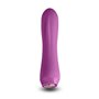 Mini Vibromasseur NS Novelties Charms Fern Ruby Rouge