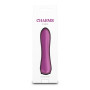 Mini Vibromasseur NS Novelties Charms Fern Ruby Rouge