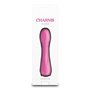 Mini Vibromasseur NS Novelties Charms Flora Bleu Rose