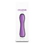 Mini Vibromasseur NS Novelties Charms Flora Violet Rose