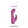 Vibrateur G-Spot NS Novelties Charms Rose