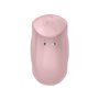 Aspirateur à clitoris Satisfyer Sugar Rush Rose