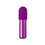 Mini Vibromasseur Le Wand Bullet Violet