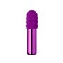 Mini Vibromasseur Le Wand Bullet Violet