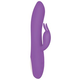 Vibrateur G-Spot Evolved Rabbit Violet