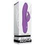 Vibrateur G-Spot Evolved Rabbit Violet