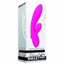 Vibrateur G-Spot Evolved Tulip Rose