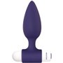 Plug Anal Evolved Dynamic Duo Violet