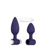 Plug Anal Evolved Dynamic Duo Violet