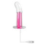 Vibrateur Anal Cassini Noir Gender X Paradise Rose