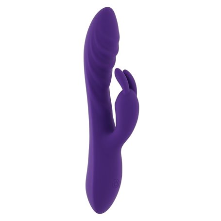 Vibrateur G-Spot Evolved Rabbit Violet