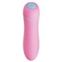 Mini Vibromasseur FemmeFun Ffix Bullet Rose