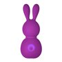 Mini Vibromasseur FemmeFun Bunny Violet