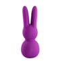 Mini Vibromasseur FemmeFun Stubby 2 Violet