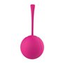 Boules d'Orgasme Dream Toys Essentials Silicone ABS