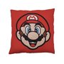 COUSSIN MARIO ET LUIGI 40x40CM