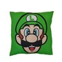 COUSSIN MARIO ET LUIGI 40x40CM