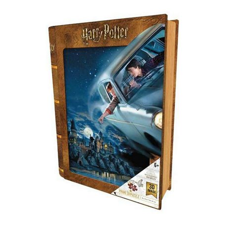 Puzzle 3D Harry Potter & Ron Harry Potter   (300 pcs)