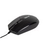 Souris iggual IGG318874