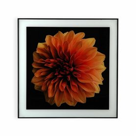 Cadre Versa Fleur Verre polystyrène (2 x 60 x 40 cm)