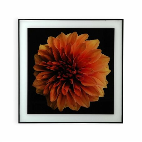 Cadre Versa Fleur Verre polystyrène (2 x 60 x 40 cm)