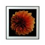 Cadre Versa Fleur Verre polystyrène (2 x 60 x 40 cm)