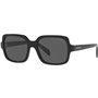 Lunettes de soleil Femme Emporio Armani EA 4195