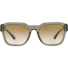 Lunettes de soleil Femme Emporio Armani EA 4175