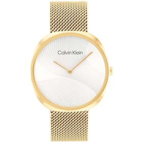 Montre Homme Calvin Klein 1685215