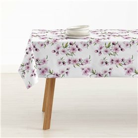 Nappe enduite antitache Belum 0120-385 Multicouleur 300 x 150 cm