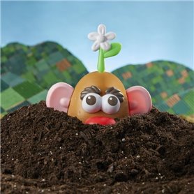 Mr. Potato Head Goes Green