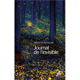 Journal de l'invisible