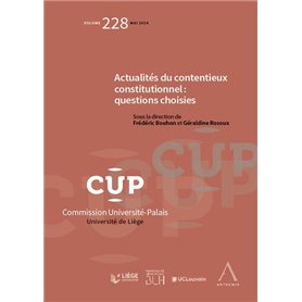 Actualités du contentieux constitutionnel : questions choisies