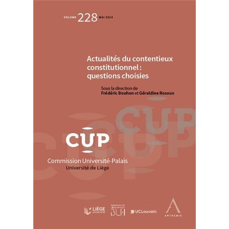 Actualités du contentieux constitutionnel : questions choisies