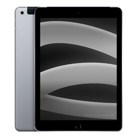 Apple iPad 9.7 (2017) Wi-Fi + 4G 32 Go gris sidéral 
