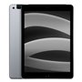 Apple iPad 9.7 (2017) Wi-Fi + 4G 32 Go gris sidéral 