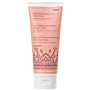 Lotion corporelle Korres Body